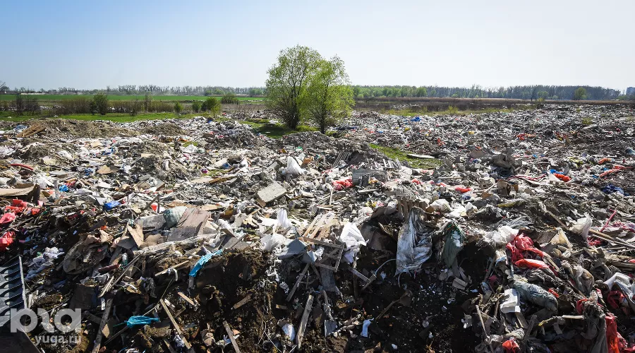  &copy;&nbsp;Фото Елены Синеок, Юга.ру