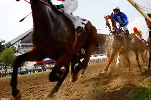  &copy;&nbsp;Влад Александров, ЮГА.ру