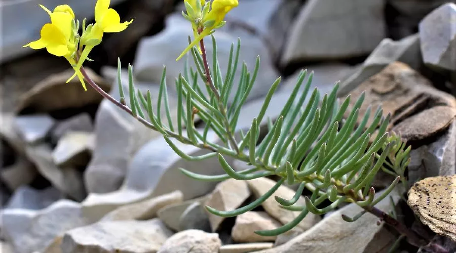  &copy;&nbsp;Фото Антона Поповича, пресс-служба Краснодарского отделения Русского географического общества