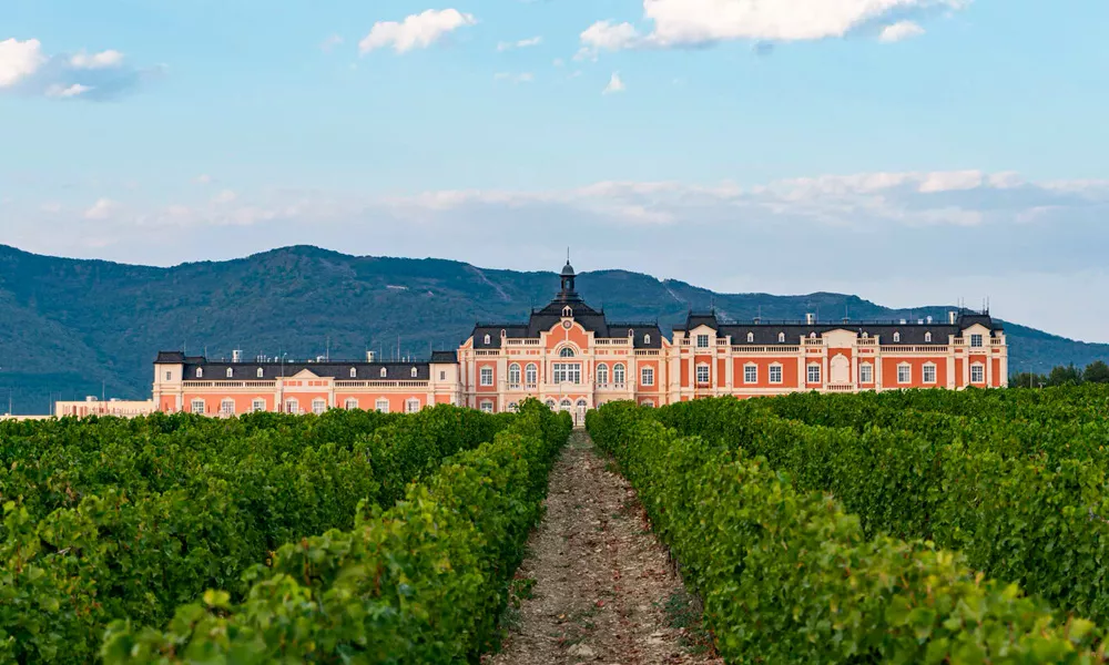  &copy;&nbsp;Фото пресс-службы винодельни &laquo;Шато де Талю&raquo;, instagram.com/chateau_de_talu