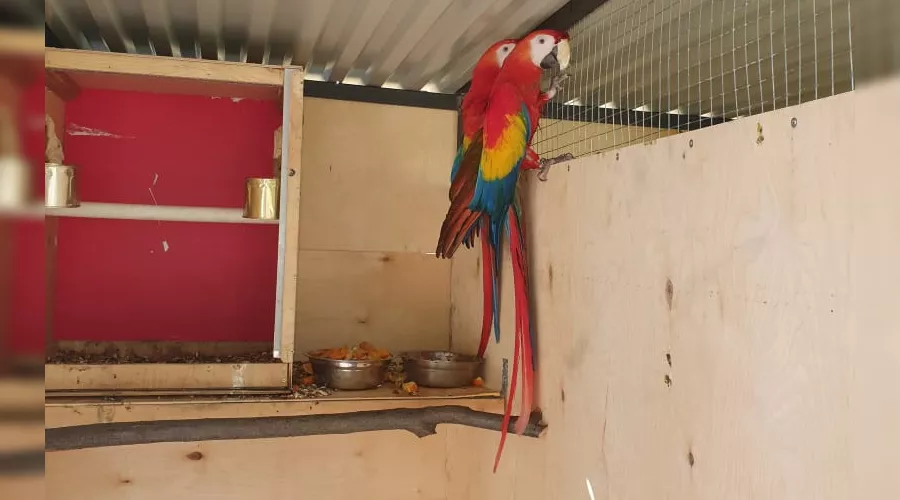  &copy;&nbsp;Фото для Юга.ру