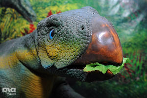 Выставка динозавров © Елена Синеок. ЮГА.ру