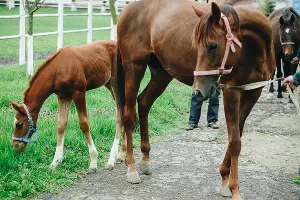  &copy;&nbsp;Фото Дениса Яковлева, Юга.ру