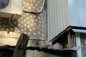  &copy;&nbsp;Фото из телеграма мэрии Краснодара, t.me/krdru