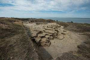 Раскопки в Фанагории © Фото Елены Синеок, Юга.ру