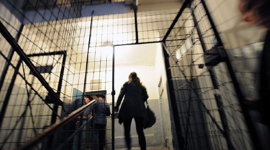  © Фото Елены Синеок, Юга.ру