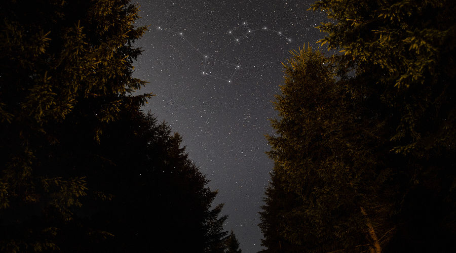  © Фото freepik, сайт freepik.com