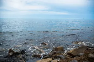 Море &copy;&nbsp;Фото Елены Синеок, Юга.ру