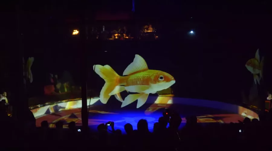  &copy;&nbsp;Скриншот из видео YouTube-канала Optoma EMEA, youtube.com/user/OptomaEMEA/