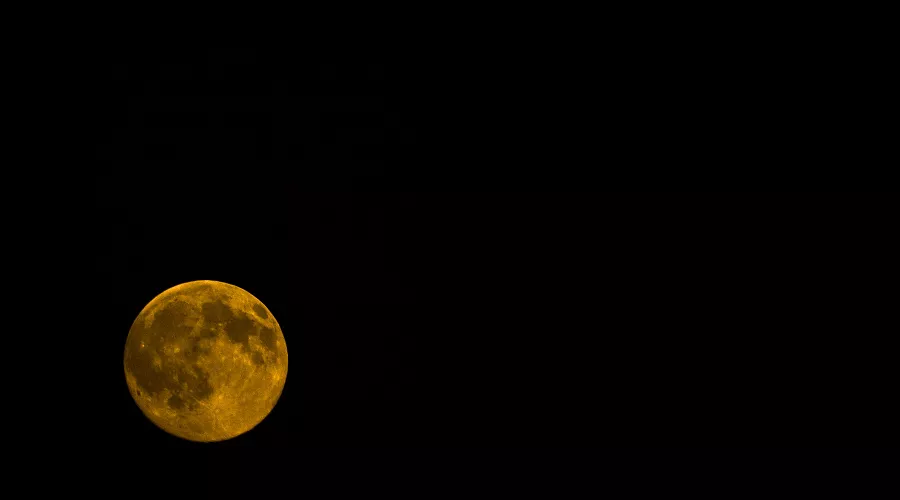  &copy;&nbsp;Фото пользователя wirestock с сайта freepik.com