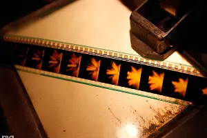 Всероссийский фестиваль авторского короткометражного кино "АРТкино" в Краснодаре &copy;&nbsp;Фото Влада Александрова, Юга.ру