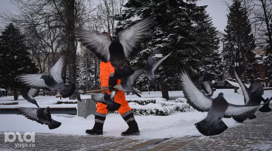 Снегопад в Краснодаре &copy;&nbsp;Фото Елены Синеок, Юга.ру