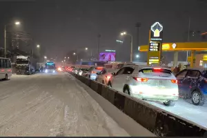  &copy;&nbsp;Скриншот из телеграм-канала &laquo;Тютина&raquo; https://t.me/tutina/11176