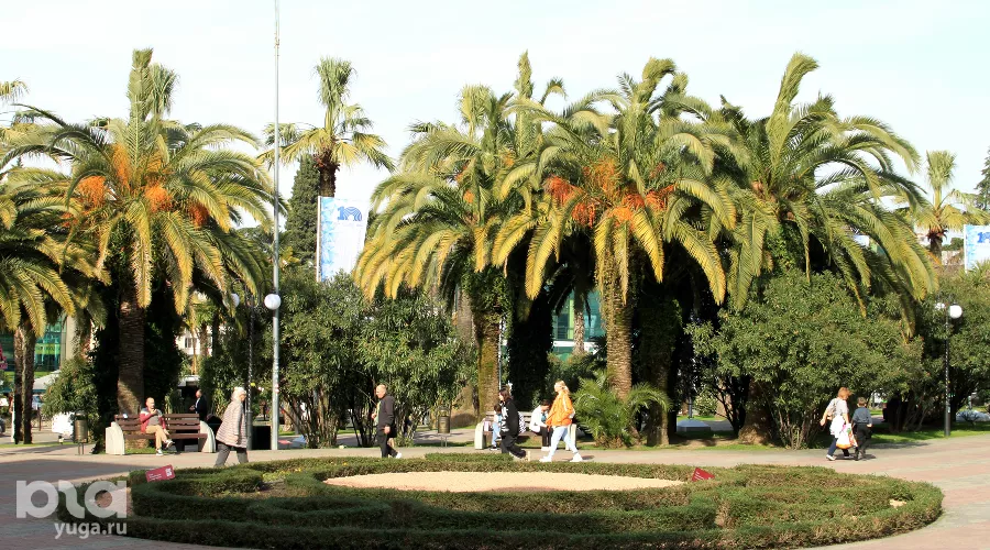  &copy;&nbsp;Фото Марины Солошко, Юга.ру