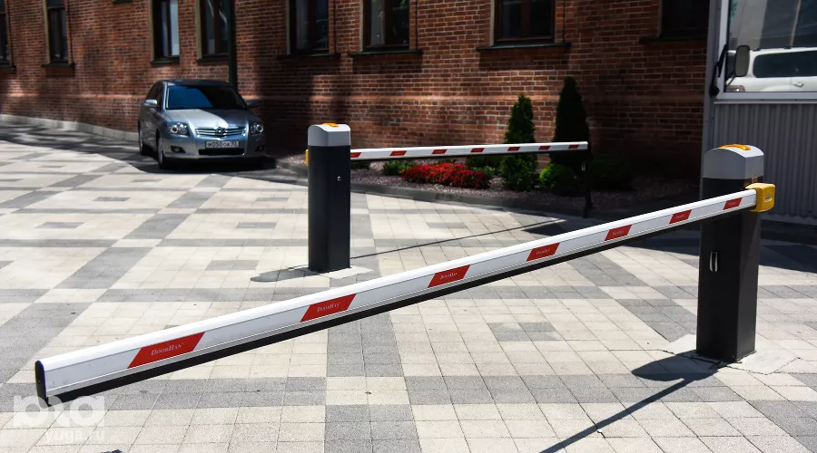  &copy;&nbsp;Фото Елены Синеок, Юга.ру