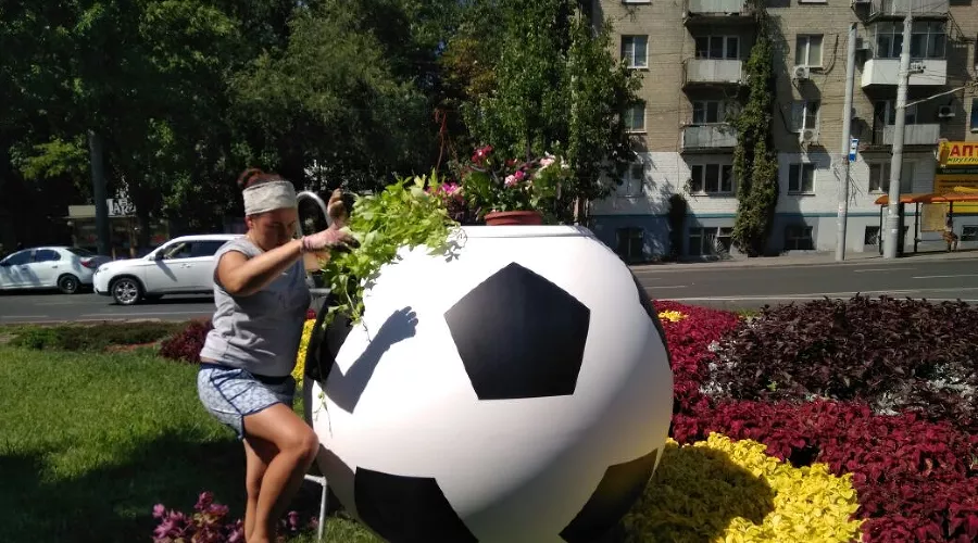  &copy;&nbsp;Фото пресс-службы администрации Ростова-на-Дону