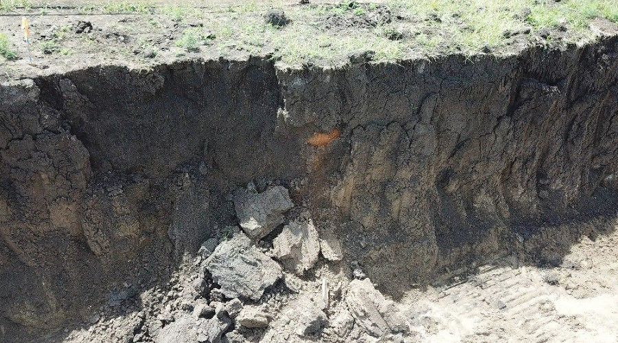  © Фото Татьяны Харченко