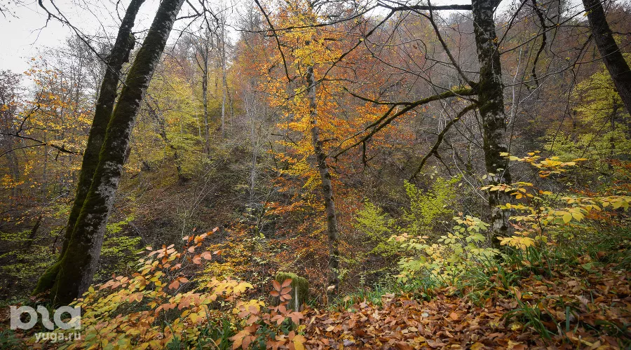  &copy;&nbsp;Фото Елены Синеок, Юга.ру