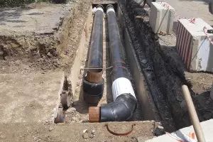  &copy;&nbsp;Фото пресс-службы администрации Краснодара