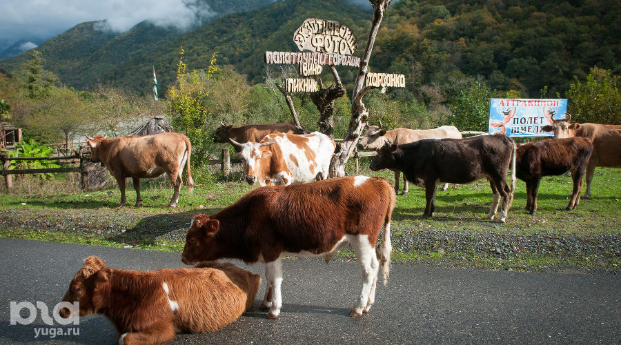 Туристическая Абхазия &copy;&nbsp;Елена Синеок, ЮГА.ру