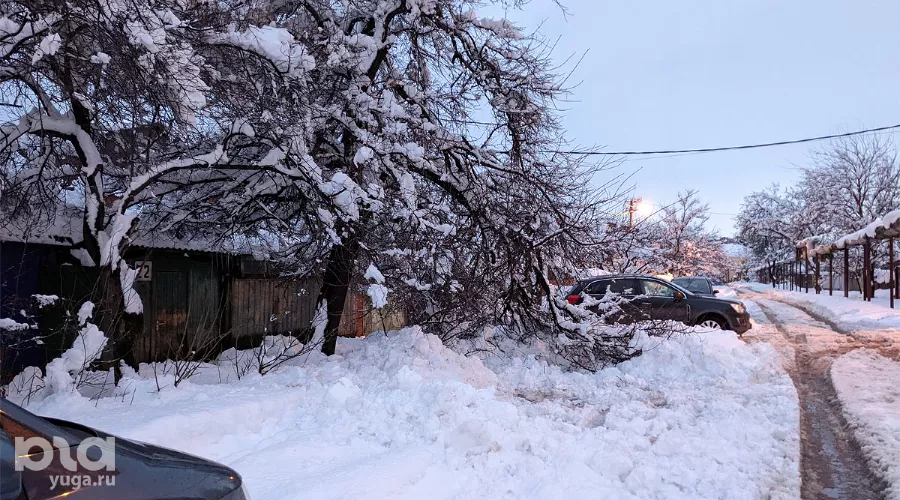  &copy;&nbsp;Фото Александры Прохоренковой-Аксеновой, Юга.ру