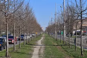 улица Московская &copy;&nbsp;Фото пресс-службы администрации Краснодара