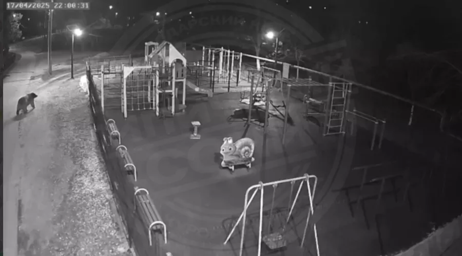  &copy;&nbsp;Скриншот фото из телеграм-канала &laquo;Типичный Сочи&raquo;