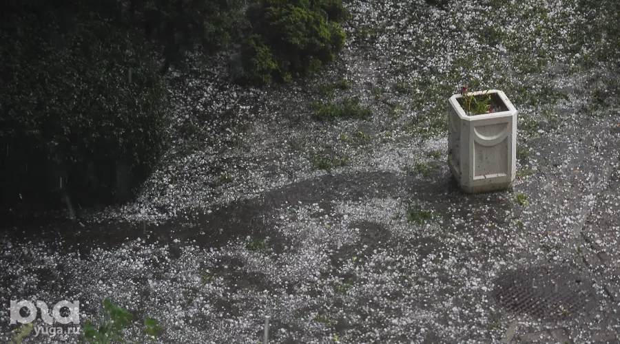  &copy;&nbsp;Фото Елены Синеок, Юга.ру