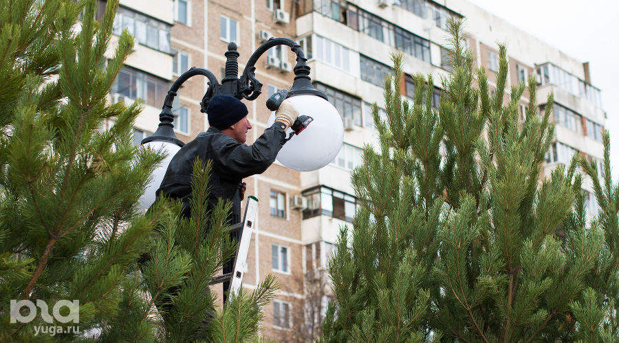 Аллея в честь 80-летия образования Краснодарского края © Фото Елены Синеок, Юга.ру
