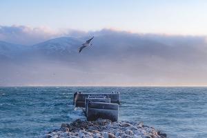 Погода в Новороссийске © фото Романа Кокорина