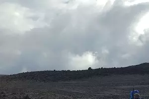  &copy;&nbsp;Фото Максима Богатырева