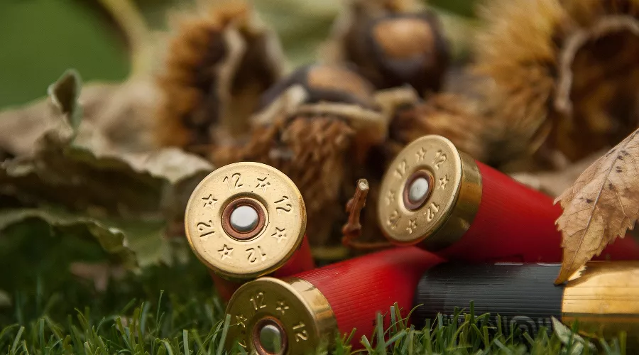 Охота &copy;&nbsp;Фото с сайта pixabay.com