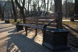 &copy;&nbsp;Фото Елены Синеок, Юга.ру