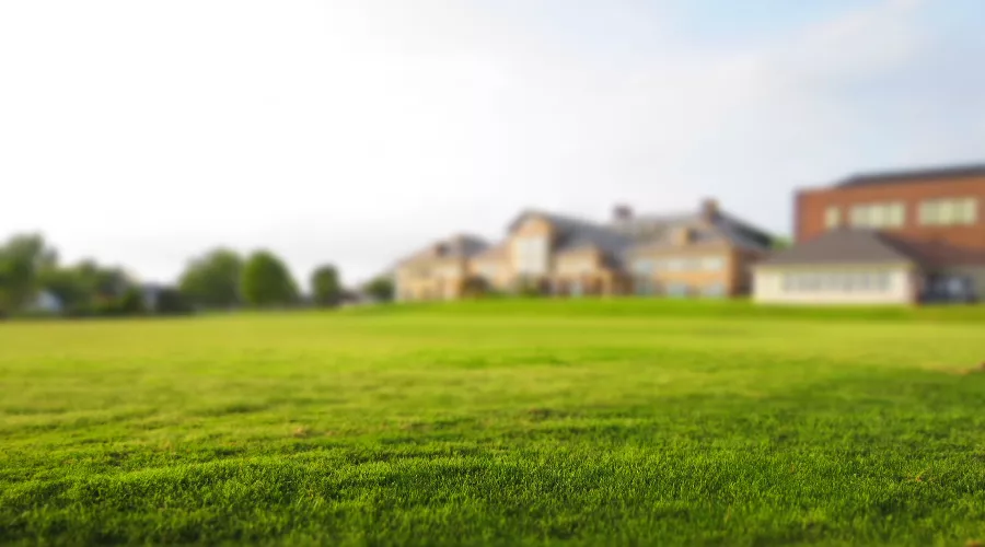  &copy;&nbsp;Фото Free Nature Stock, pexels.com