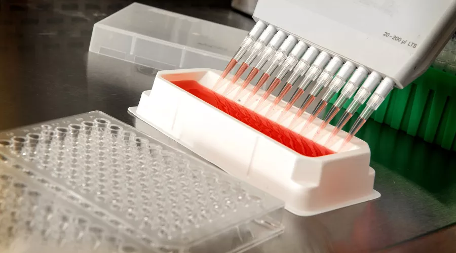  &copy;&nbsp;Фото CDC, unsplash.com