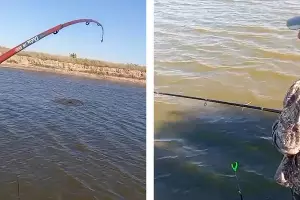  &copy;&nbsp;Коллаж из скриншотов видео из телеграм-канала &laquo;Дельфа&raquo;