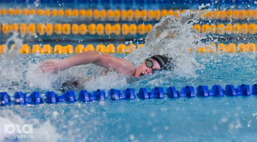  &copy;&nbsp;Фото Елены Синеок, Юга.ру