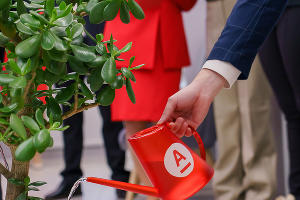  © Фото АО «Альфа-Банк»