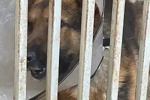  &copy;&nbsp;Фото Даниила Вальца