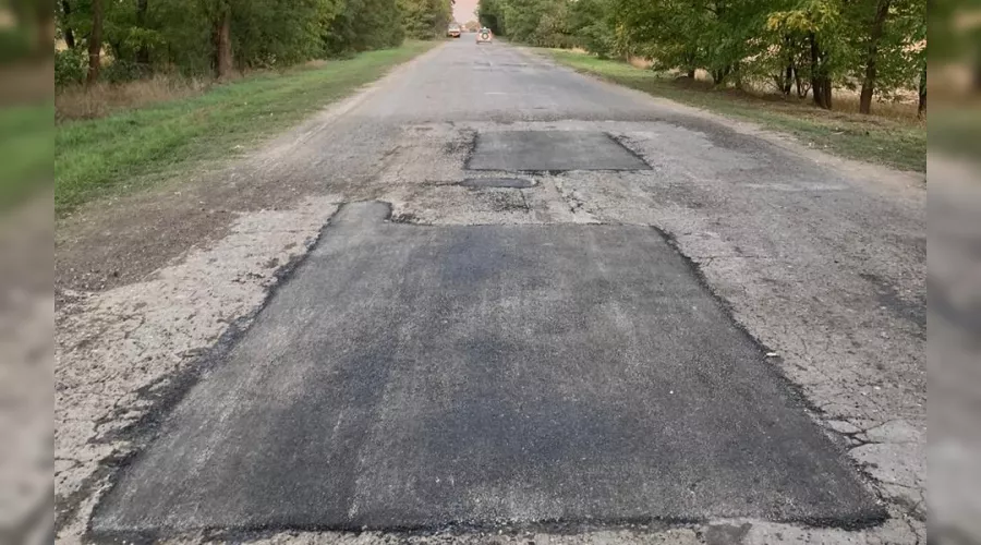  &copy;&nbsp;Фото пресс-службы администрации Краснодара