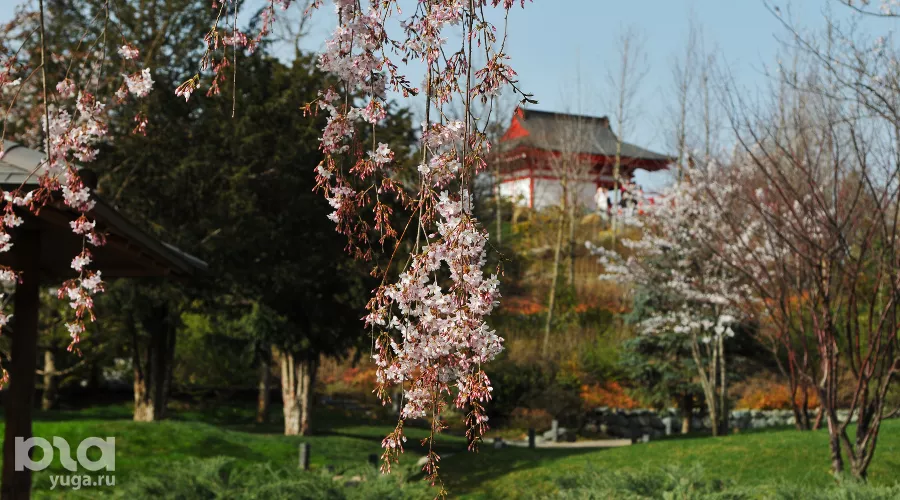  &copy;&nbsp;Фото Марины Солошко, Юга.ру