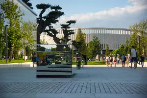 Матч «Краснодар» — «Сочи», Краснодар, 27 июля 2019 года &copy;&nbsp;Фото Елены Синеок, Юга.ру