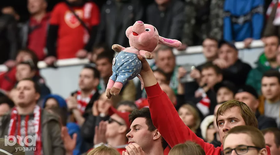  &copy;&nbsp;Фото Елены Синеок, Юга.ру