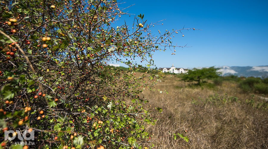 Суджукская лагуна и ее окрестности © Фото Елены Синеок, Юга.ру