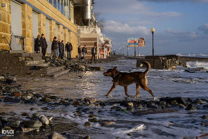 Шторм в Сочи &copy;&nbsp;Нина Зотина, ЮГА.ру
