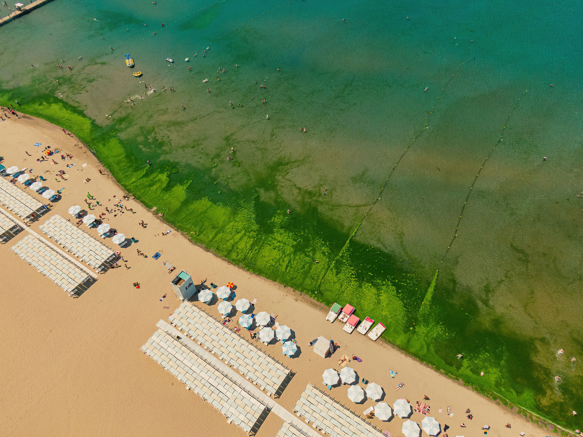 Цветет ли анапа. Черное море цветет Анапа. Море в Анапе зеленое 2022 Анапа. Анапа цветет море 2022. Море в Анапе в августе 2022.