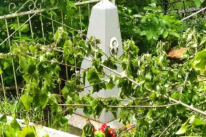  &copy;&nbsp;Фото Анны Филатовой, Юга.ру