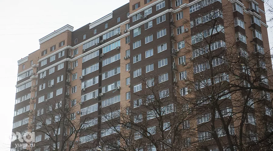  &copy;&nbsp;Фото Елены Синеок, Юга.ру