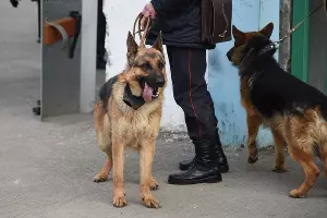  &copy;&nbsp;Фото Елены Синеок, Юга.ру