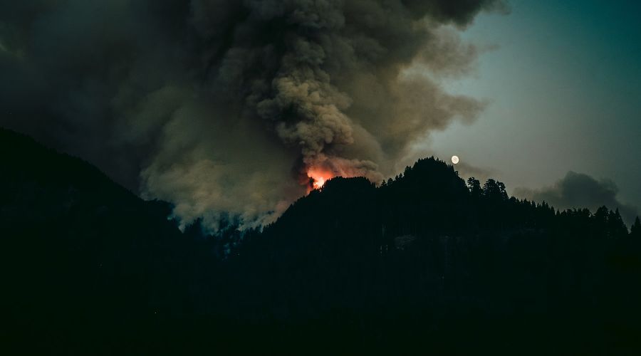 Пожар в лесу © Фото Luke Flynt, unsplash.com